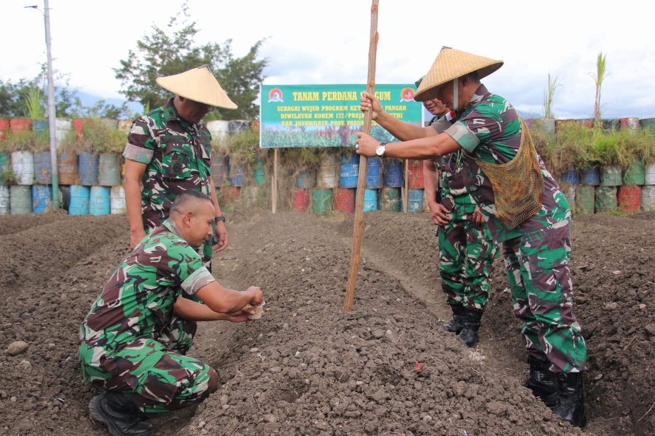 Manfaatkan Lahan Tidur Kodim Jayawijaya Kembangkan Tanaman Sorgum